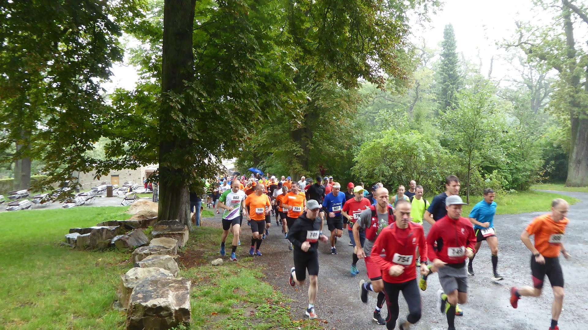 Tierparklauf 2019 39